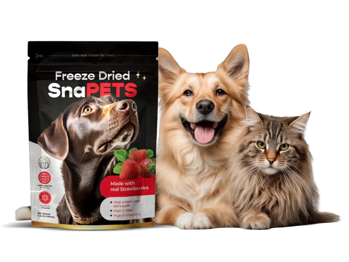 A cat, a dog and a packet of Garden SnaPets pet treats on the contact us page