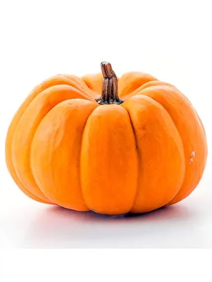 Pumpkin - a vital ingredient in Garden SnaPets pet treats