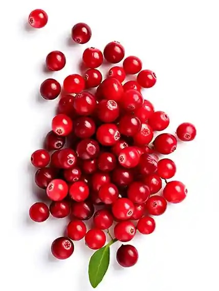 Fresh cranberries - vital ingredients in Garden SnaPets pet treats